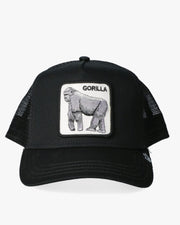 Gorilla