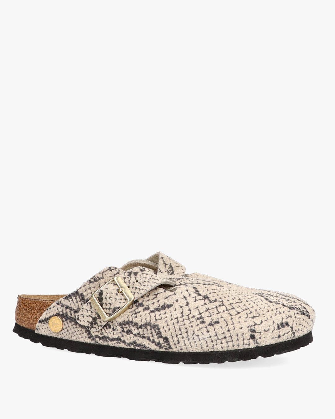 Boston snake oyster Sabot Pari