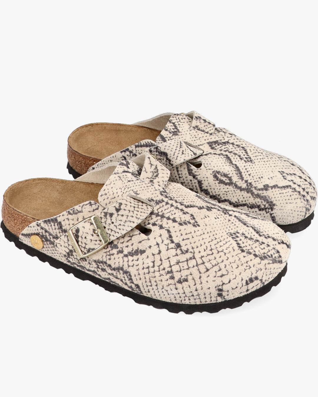 Boston snake oyster Sabot Pari