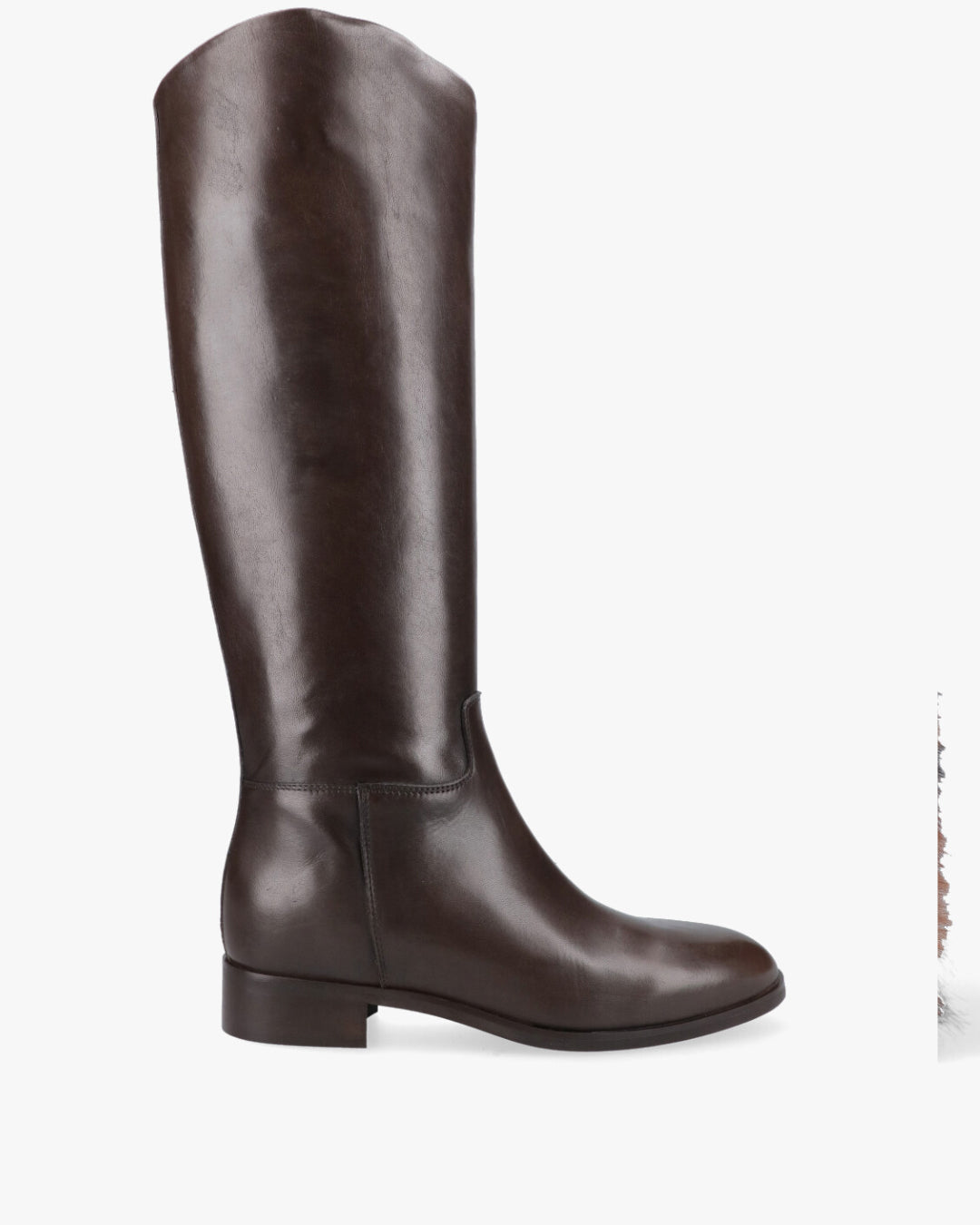 GW161 Stivali Cavallerizzi