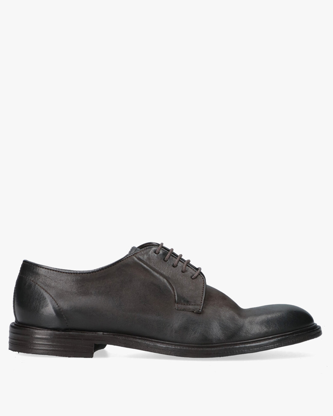 17024 Band Scarpe Derby