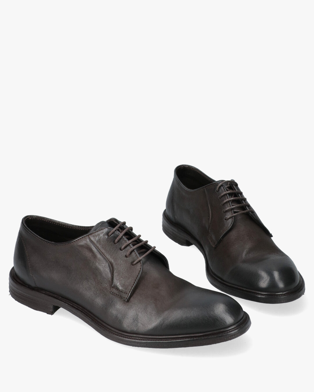 17024 Band Scarpe Derby