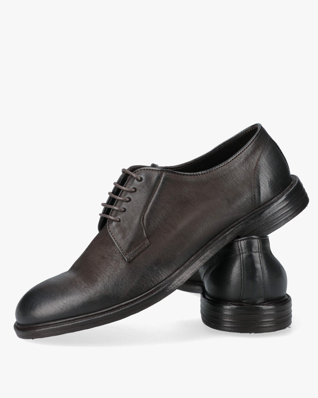 17024 Band Scarpe Derby