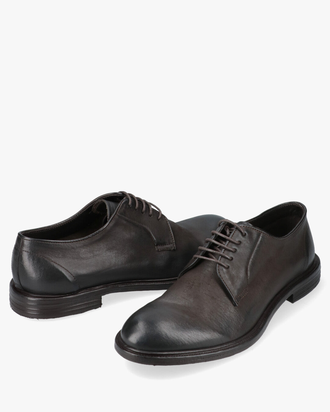 17024 Band Scarpe Derby