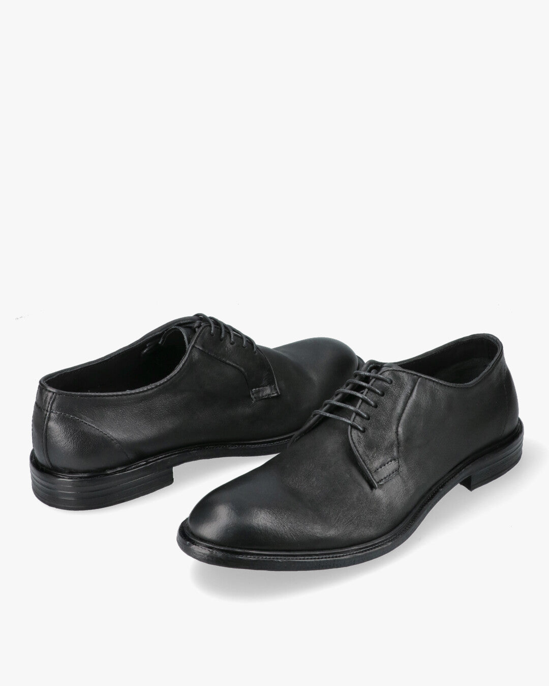 17024 Band Scarpe Derby