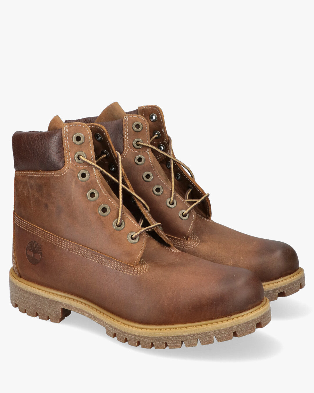 Heritage 6 in Premium