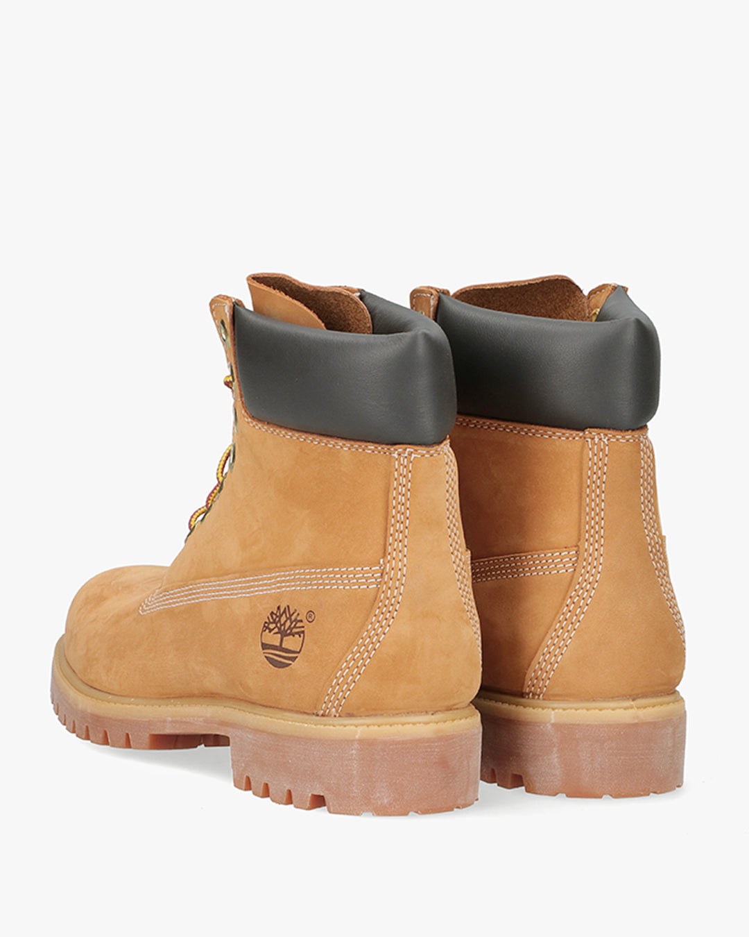 Premium 6 Inch Lace Up