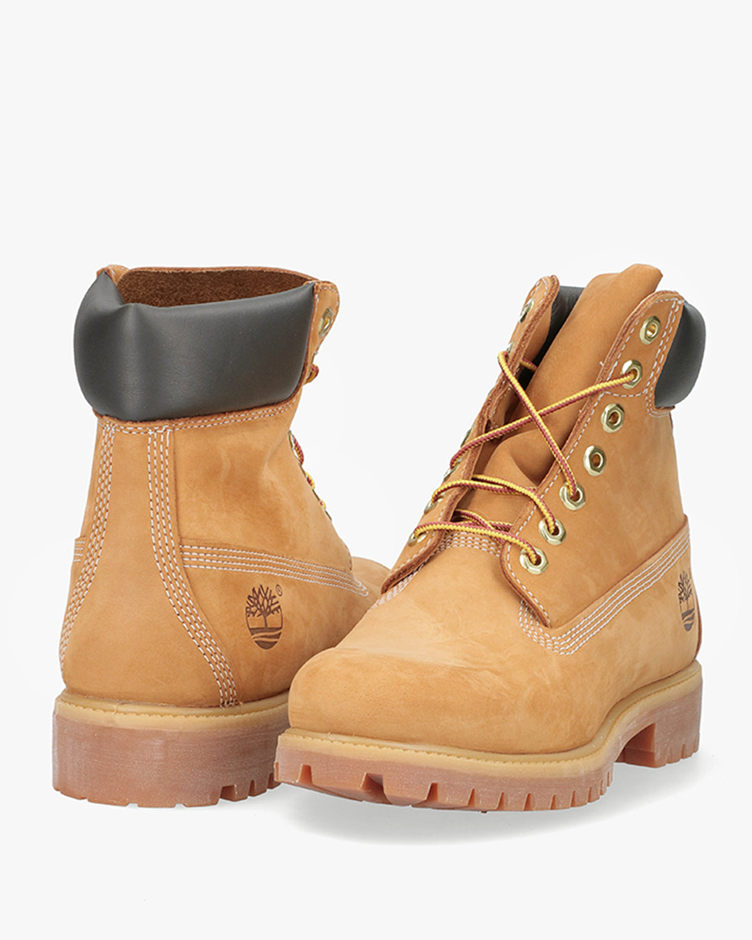Premium 6 Inch Lace Up